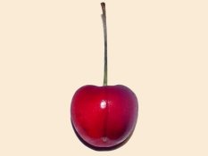 Cerise DeLand's Cherry Logo